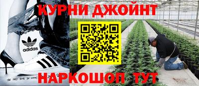 гашишное масло Аргун